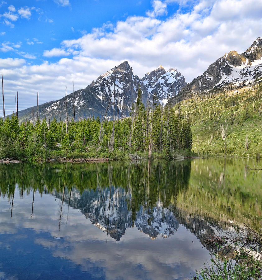 String Lake Reflections in Summer Teton mountain print by Dan Sproul